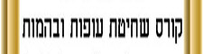 קורס שחיטה