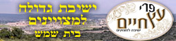 ישיבת פרי עץ חיים