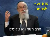 כשרות המאכלים - חרקים