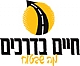 "עד דלא ידע" - אם שותים לא נוהגים