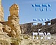 "ותבט אשתו מאחריו ותהי נציב מלח" (פרשת וירא) - 2 חלקים