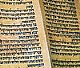 לֹא תֹּאכְלֶנּוּ עַל הָאָרֶץ תִּשְׁפְּכֶנּוּ כַּמָּיִם (פרשת ראה)
