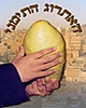 שו"ת על מעלת האתרוג התימני