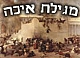 שו"ת: מהו המקור להוספת בתים של קינות, בין פרקי מגילת איכה?